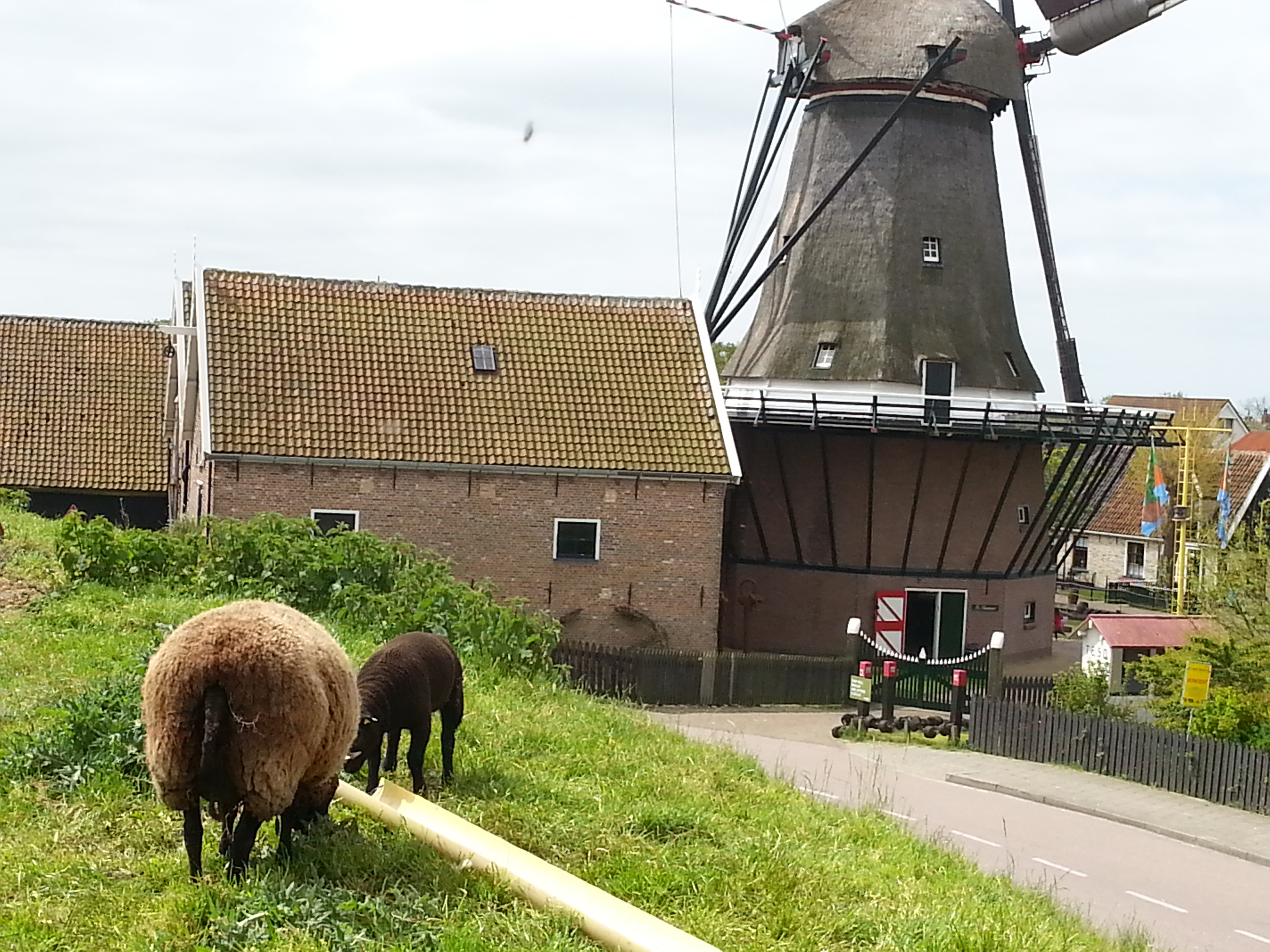 HWK Texel 094.jpg